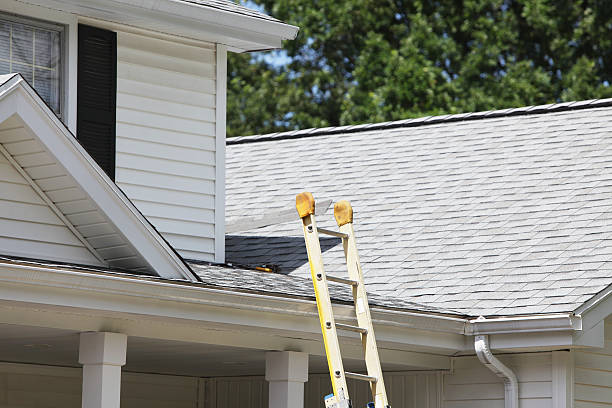 Best Hoarding Cleanup  in Swannanoa, NC
